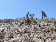صورة ارشيفية من صرواح