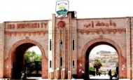 نقابة هيئة التدريس في جامعة اب ترسل كشوفات منتسبيها للحكومة الشرعية
